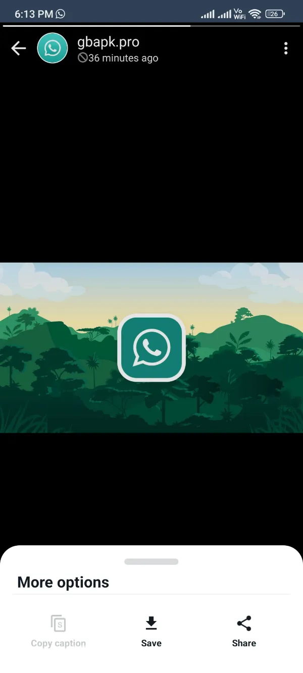 GBWhatsApp Pro Download Status Video Images